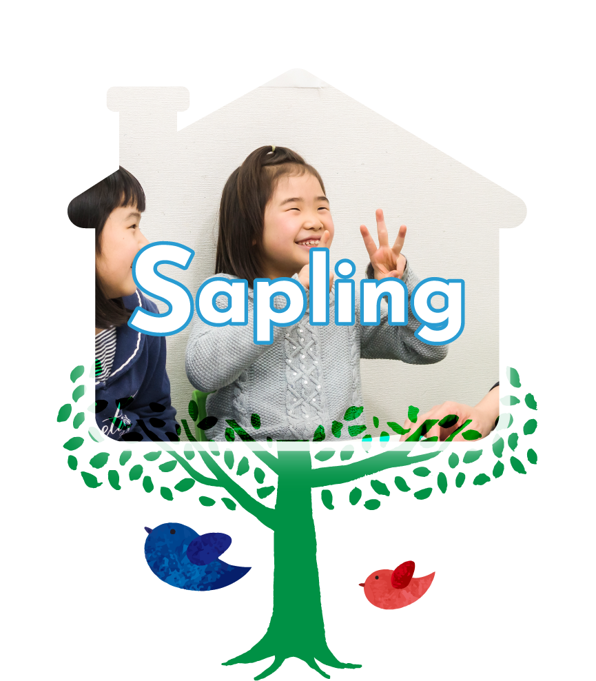 サプリングクラス